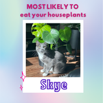 Most likely to eat your houseplants: SKYE! (You can see the evidence in the photo)