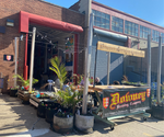 Downey Brewing Company