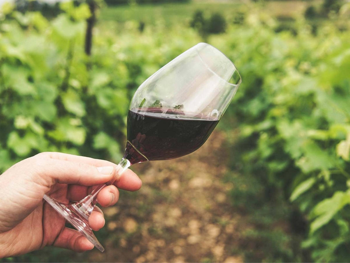 Raise a Glass with the Maestro