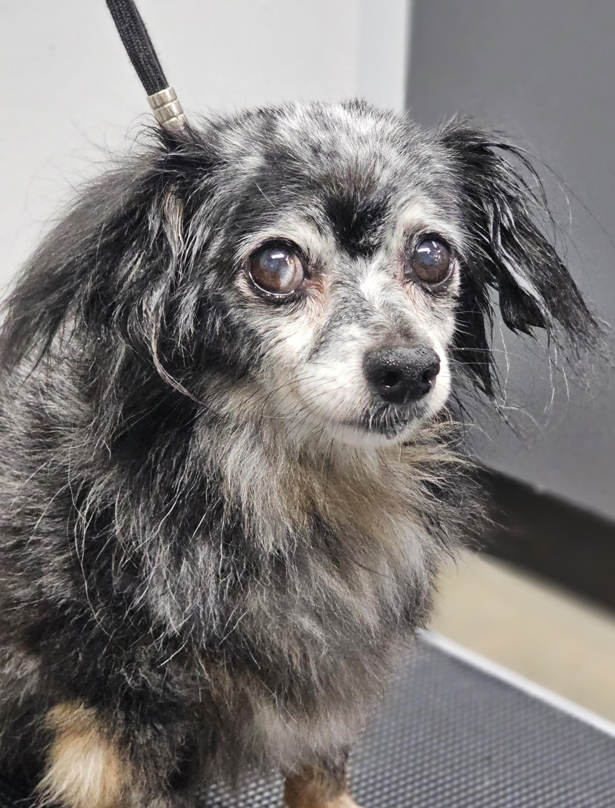 A0061518549-Juno