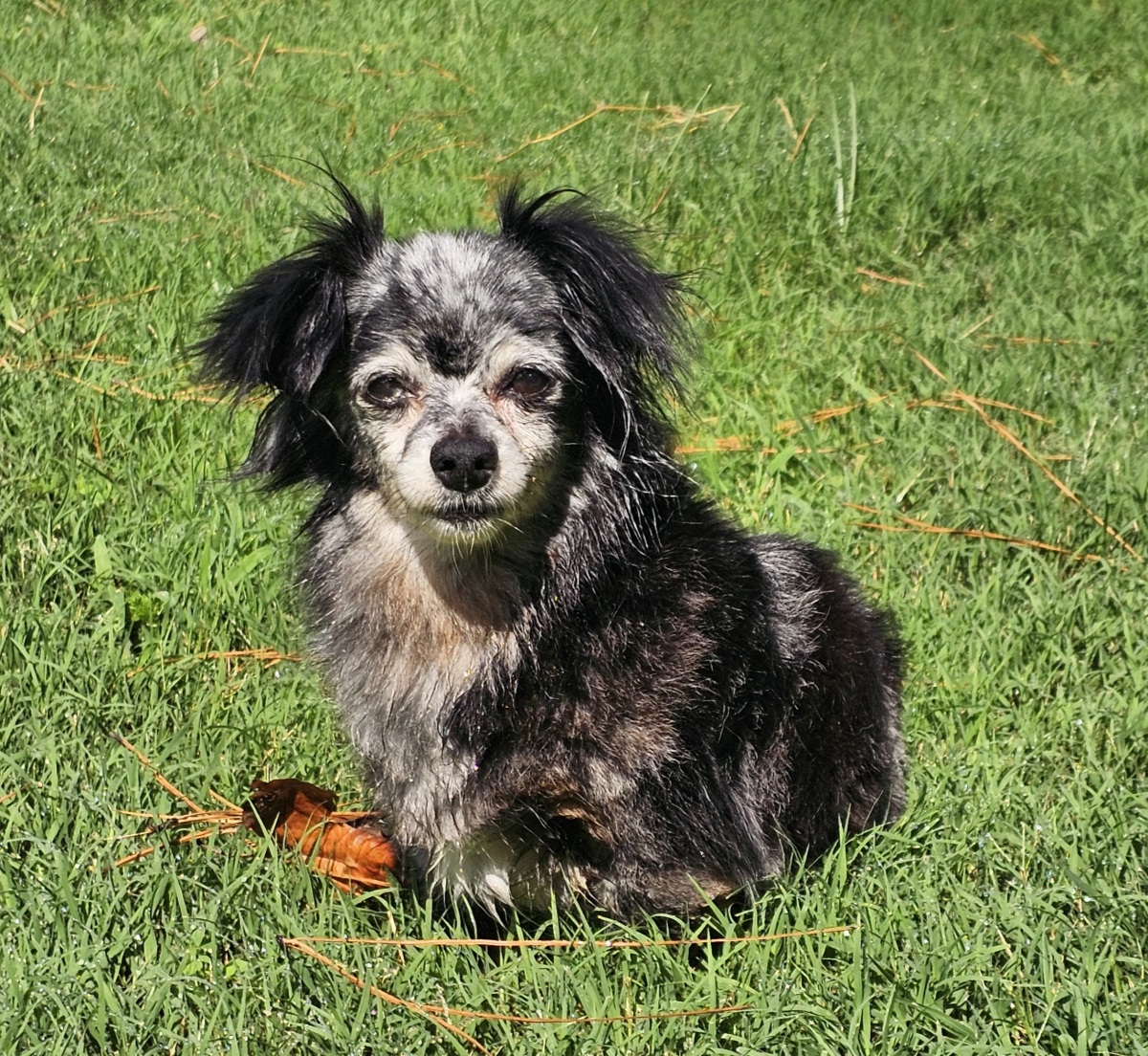 A0061518549-Juno
