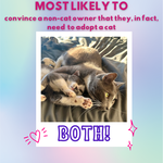 Most likely to convince a non-cat owner that they, in fact, need to adopt a cat immediately... BOTH!!! :)