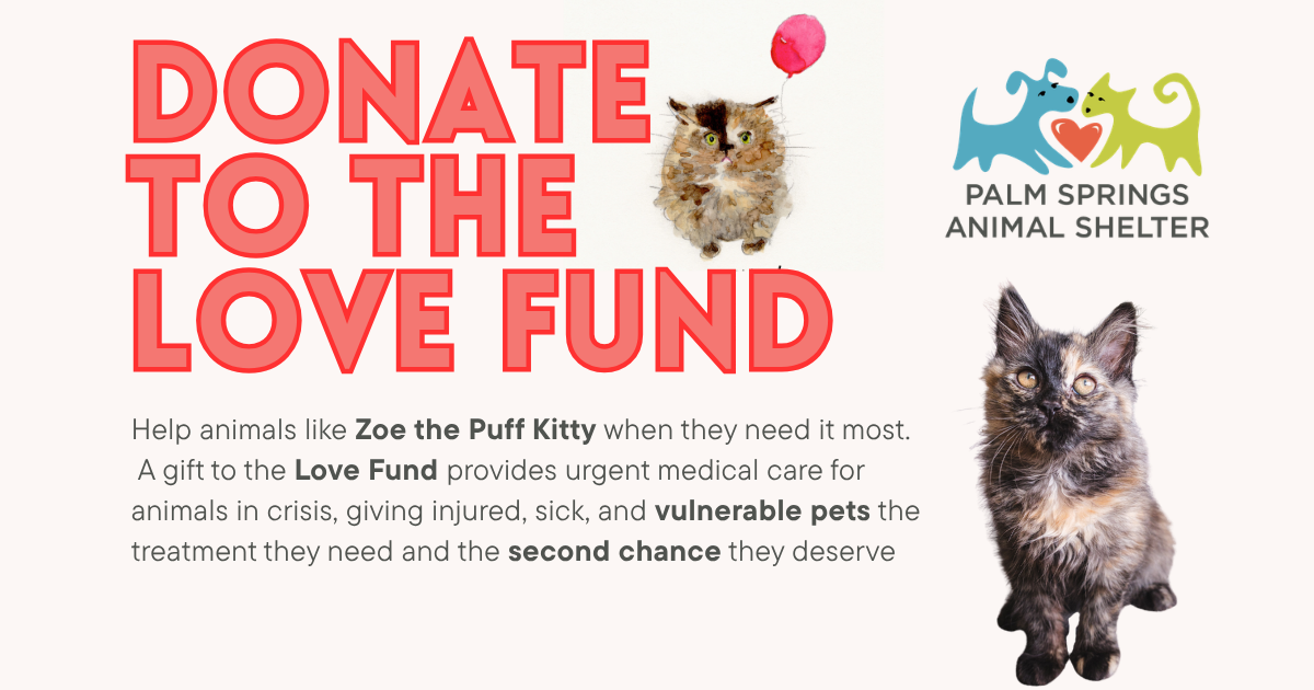 Greater Palm Springs Animal Allies 