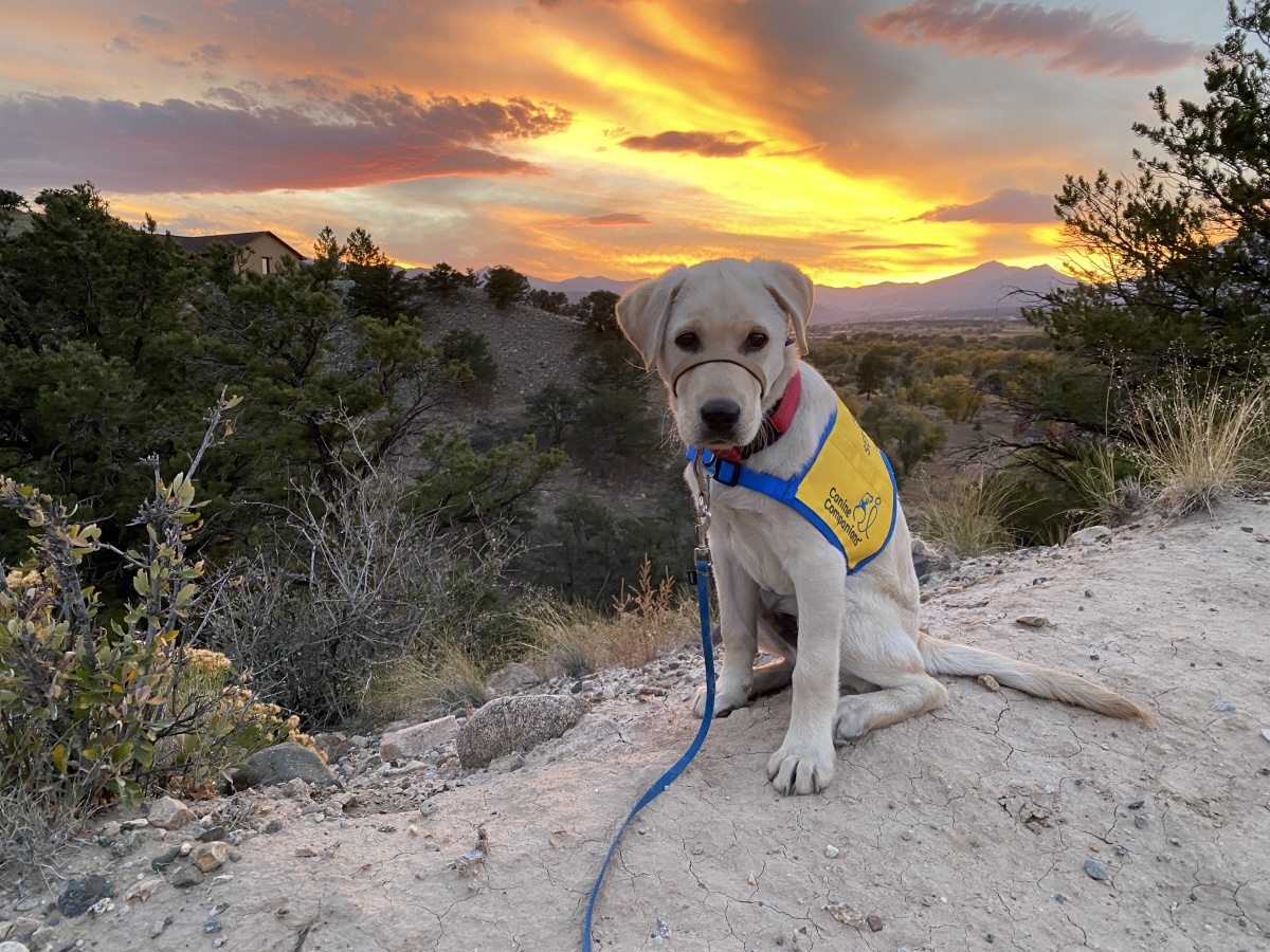 Sunset in the Rockies
