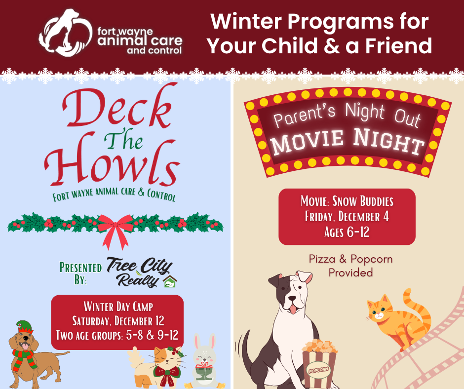 FWACC Winter Programs for Your Child & a Friend