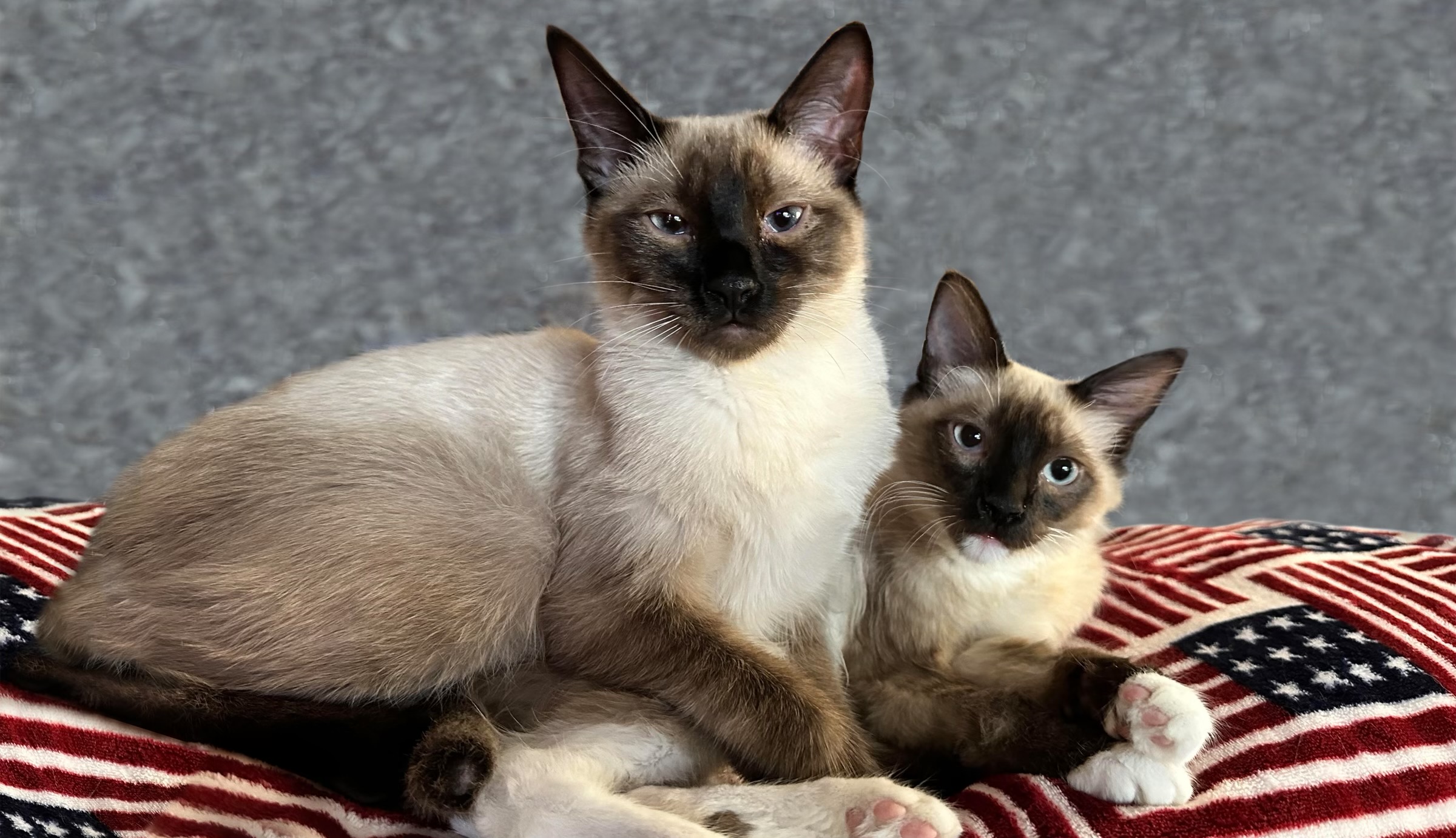 Julie Piepho & David Bee