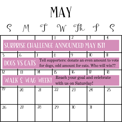 May Fundraising Challenges