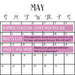 May Fundraising Challenges