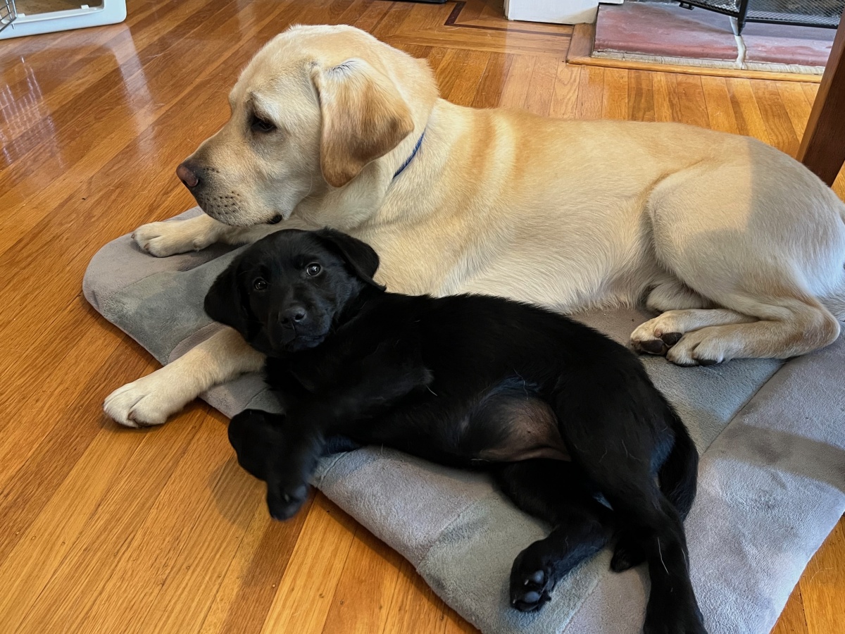 Emma and Seattle Taking a Break