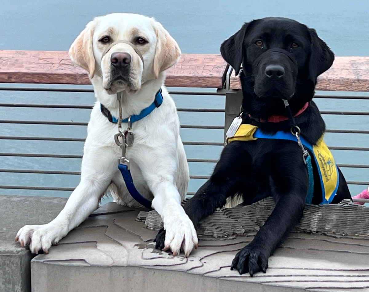 Best Friends Forever