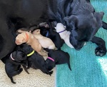 Just a few days old!
