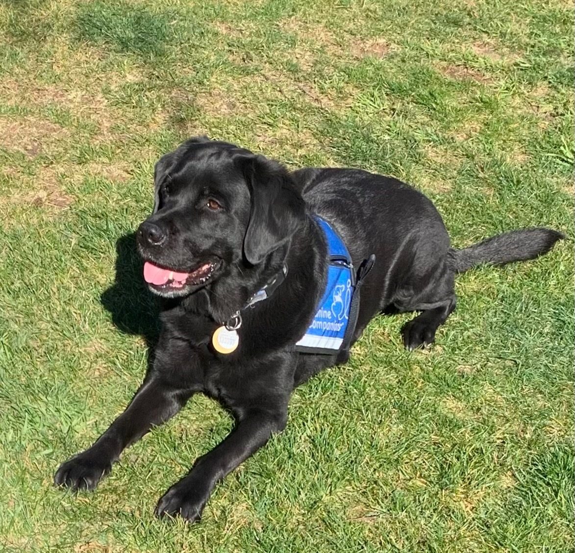Maggie