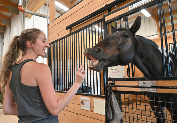 Lead Horse Handler Sophie with Horse Giuseppe