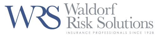 Waldorf Risk Solutions