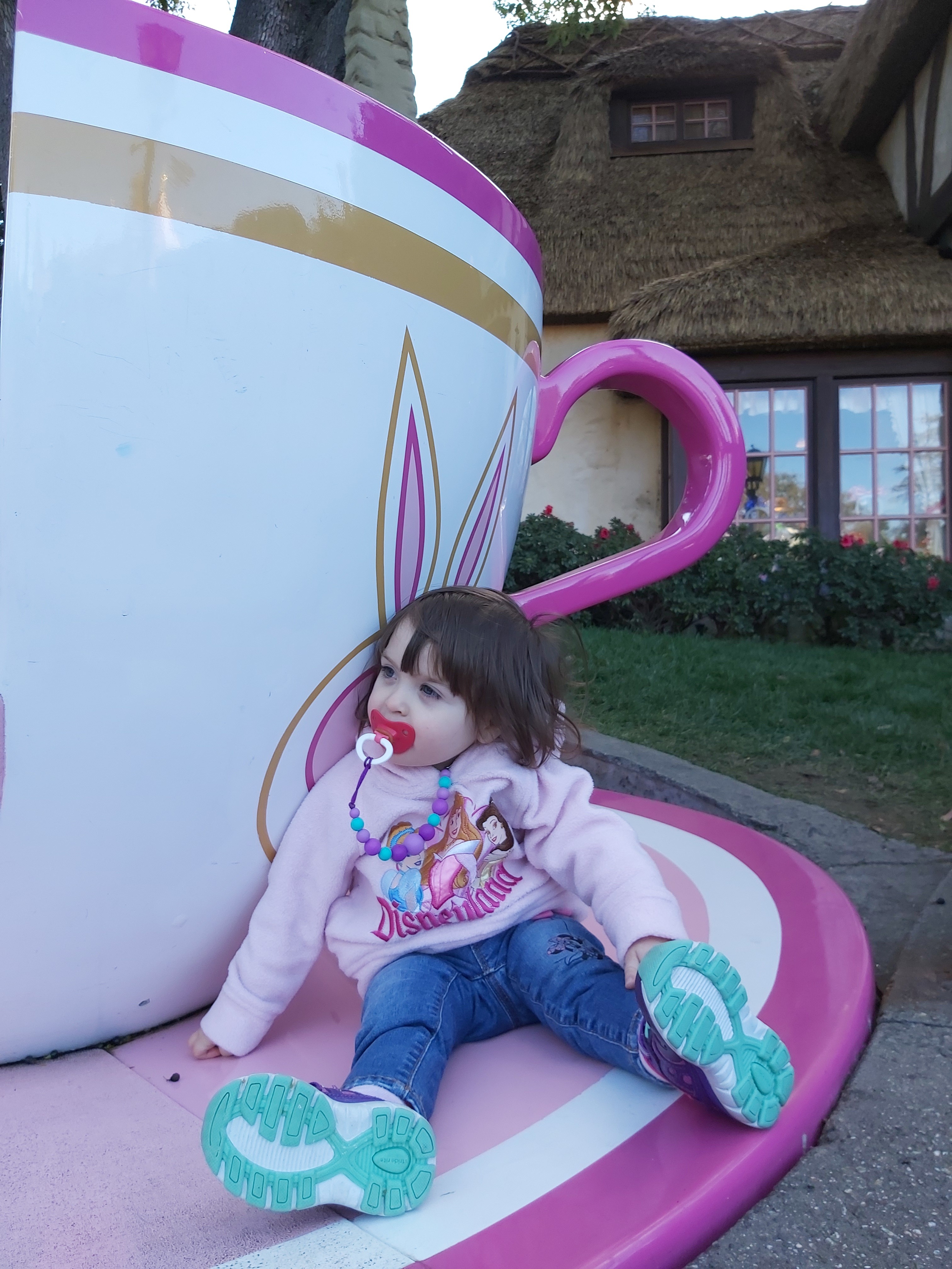 Tea Cup Ride at Disneyland