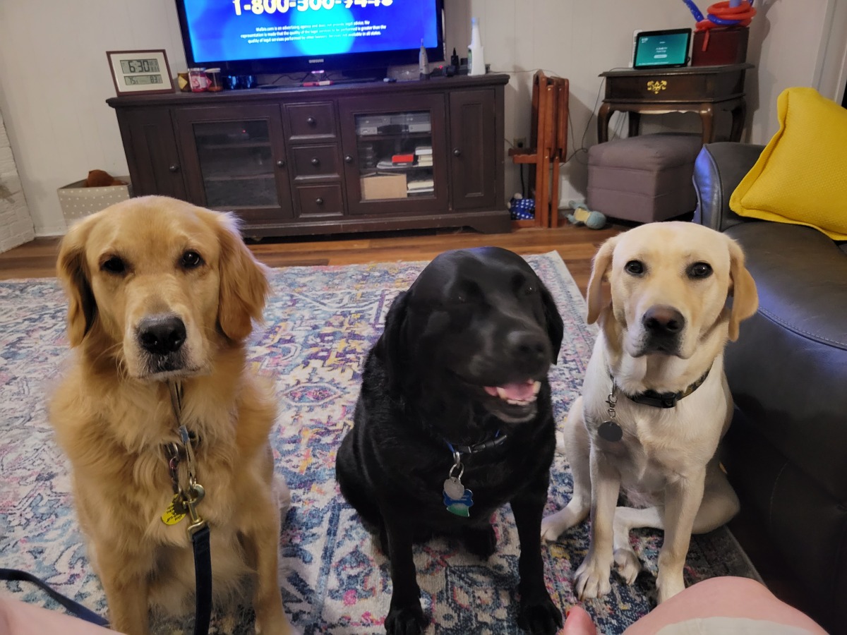 Gigi Novella and Wishes