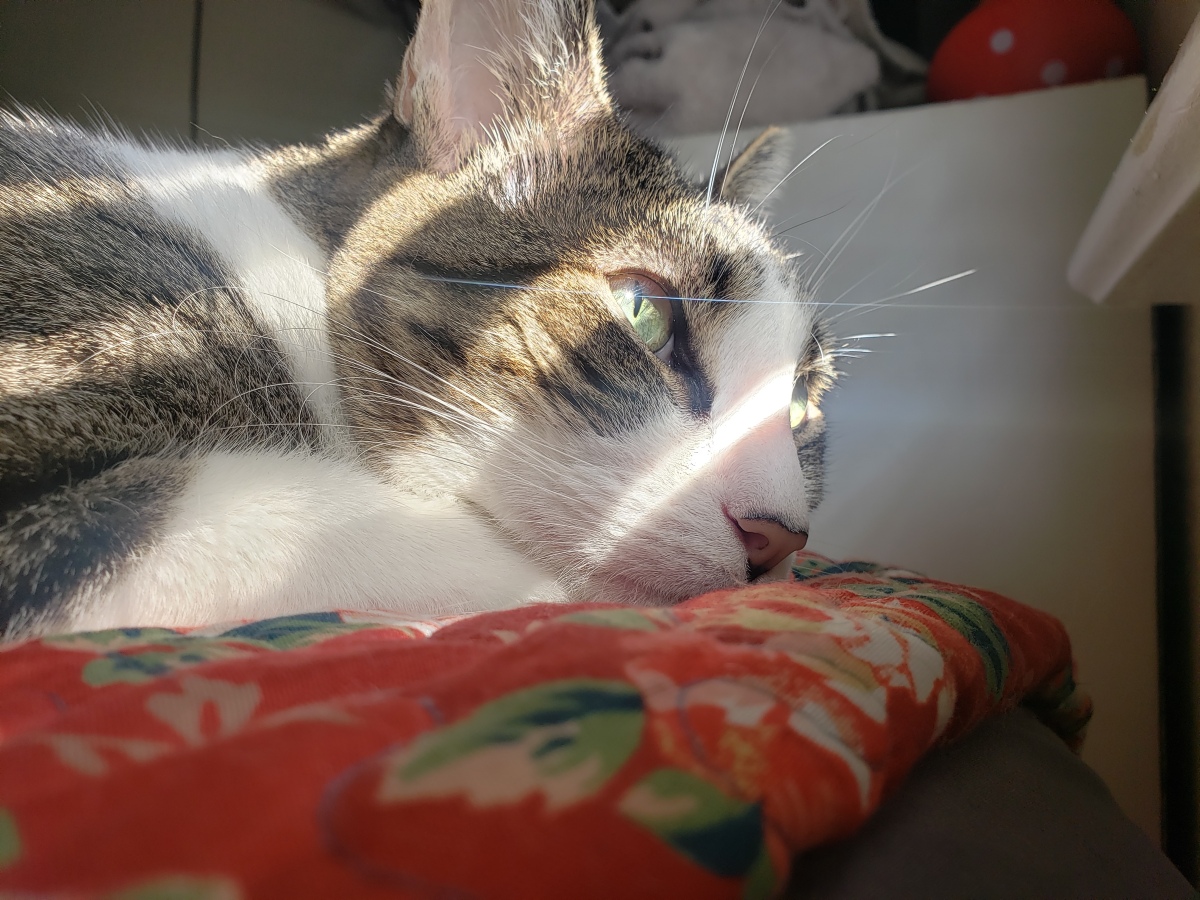 This Ones for you KJ