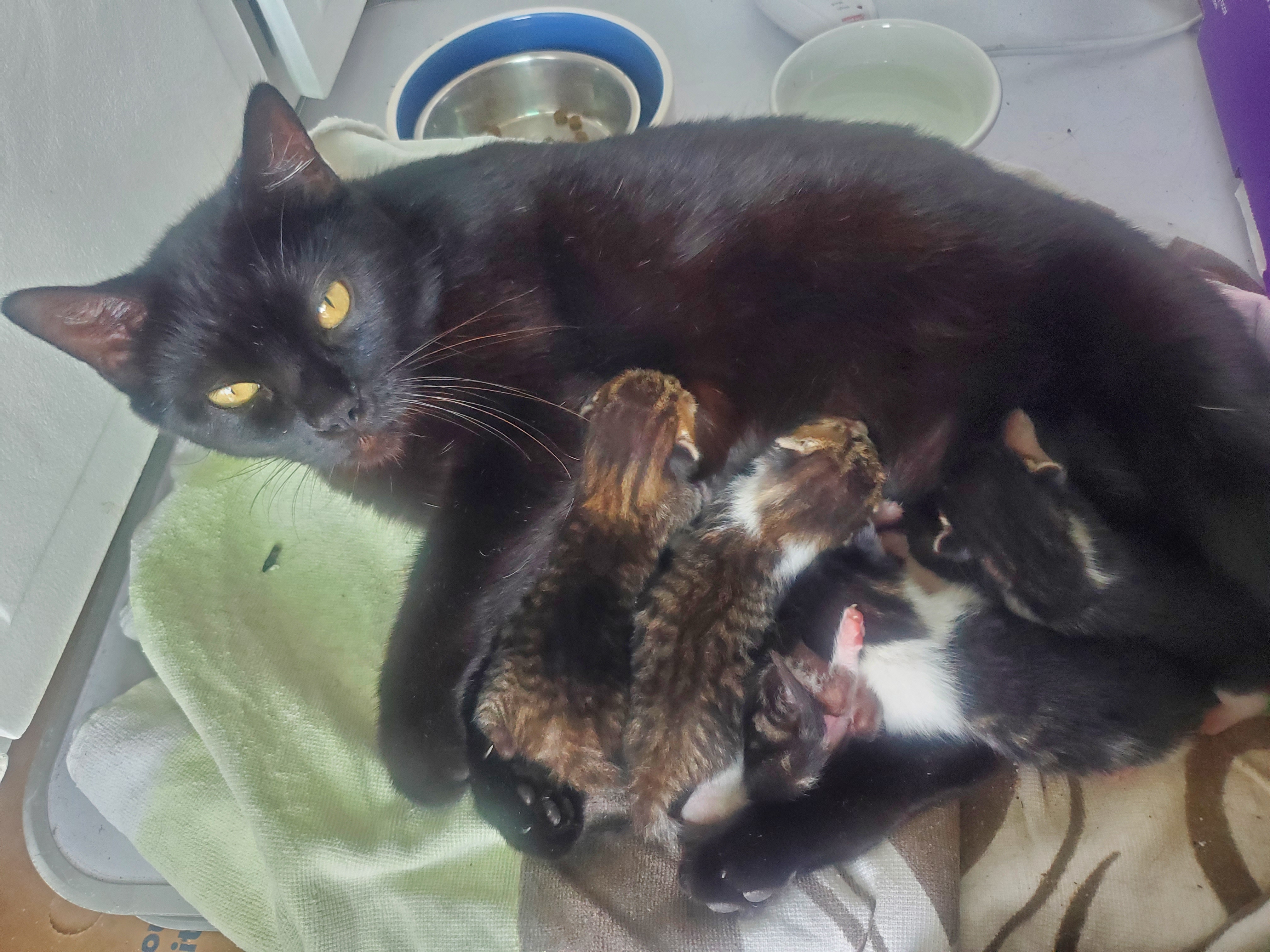 Anita & her babies