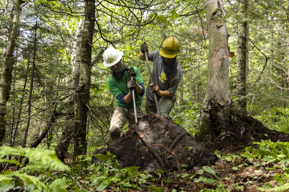 Trail Crews Restoring the Burrows Trail