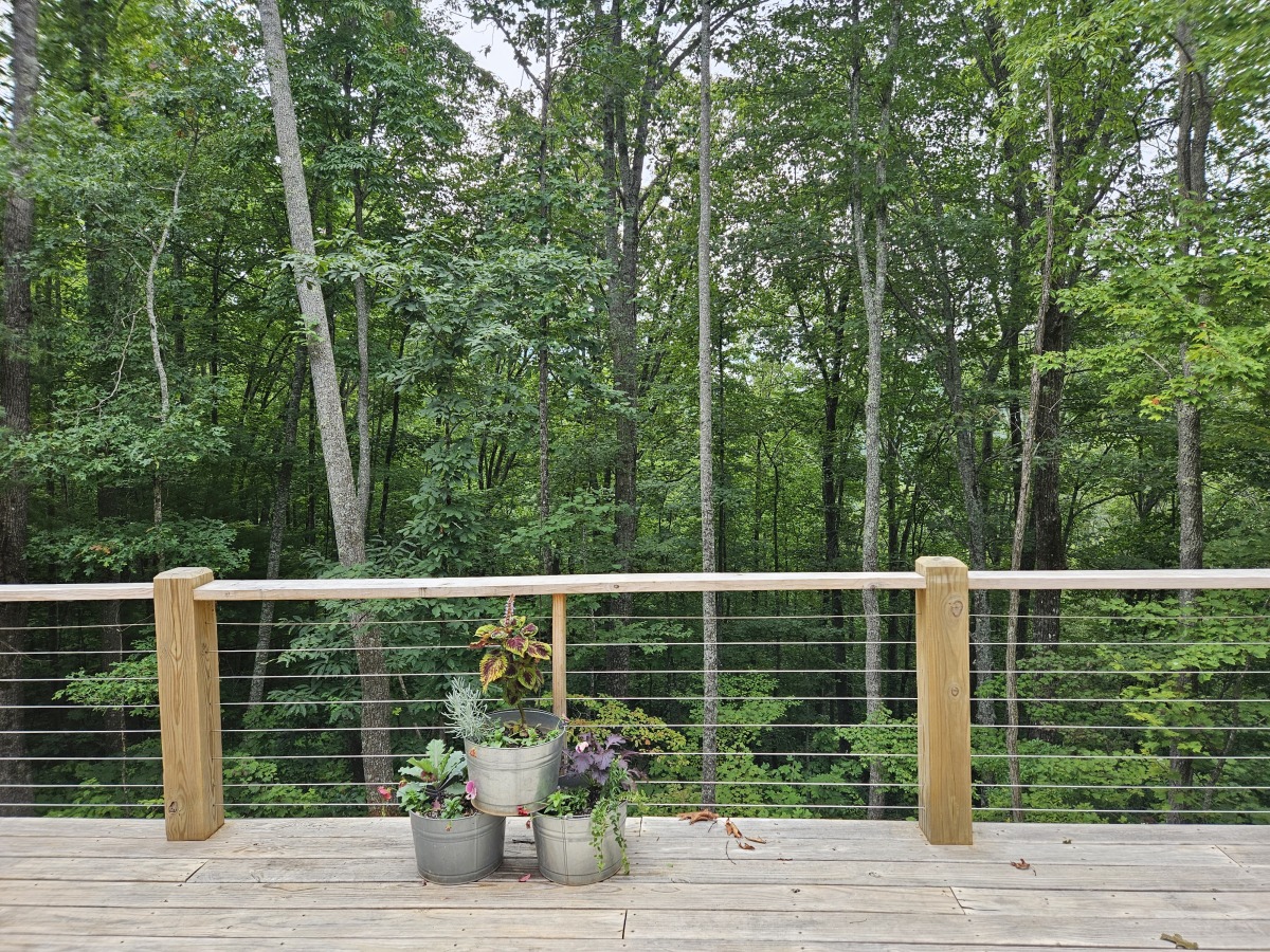 Beautiful Wooded View