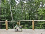 Beautiful Wooded View
