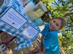 Outrageous Orcas team  lemonade stand