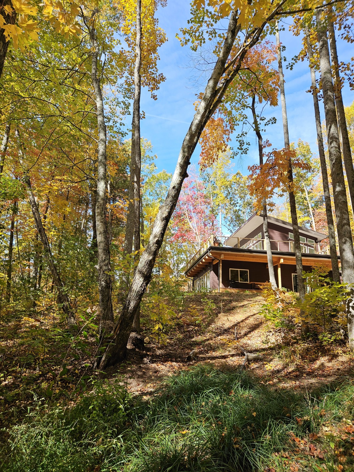 The Home