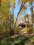 The Home