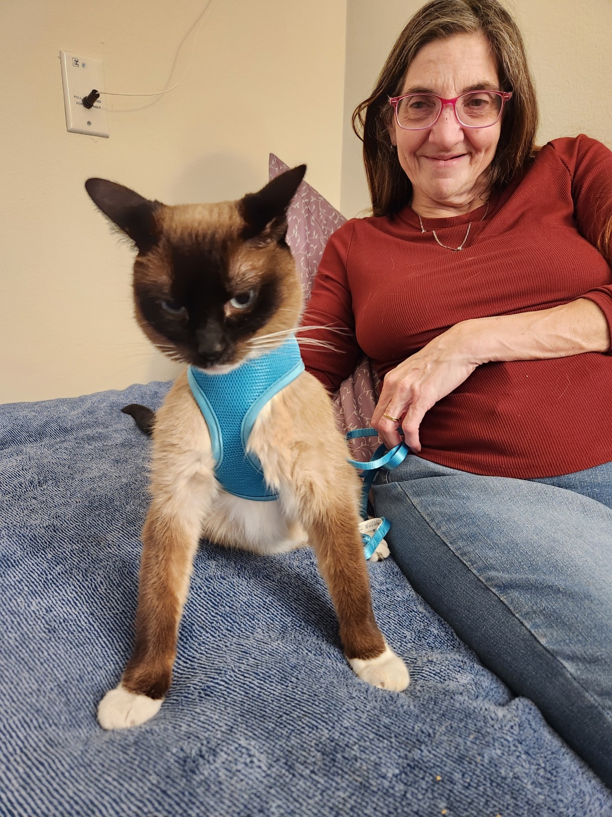 Carmen sporting her new harness to meet other residents