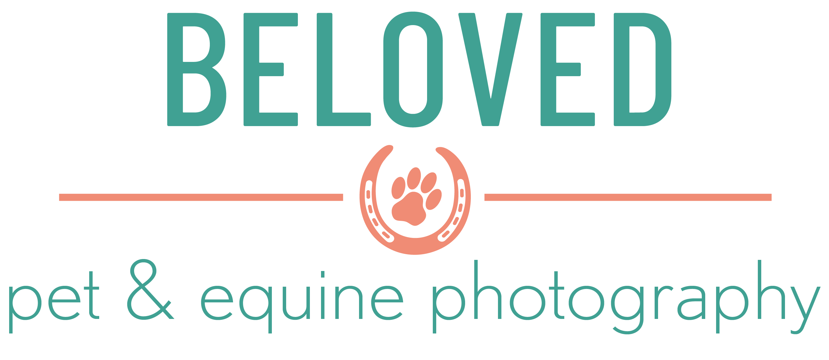Beloved Pet & Equine Photography