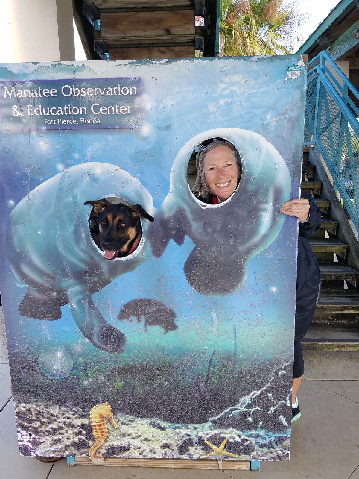 Being a manatee with Mom...