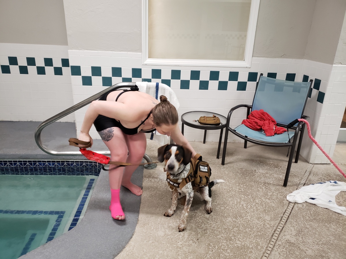 Service dog training: poolside behavior