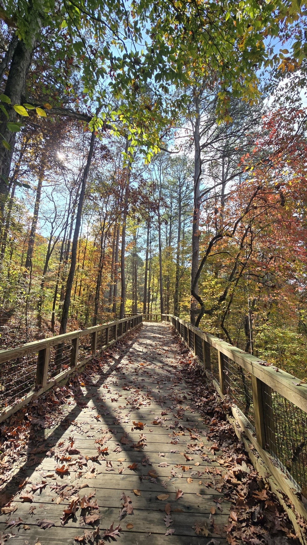 South Chick Greenway