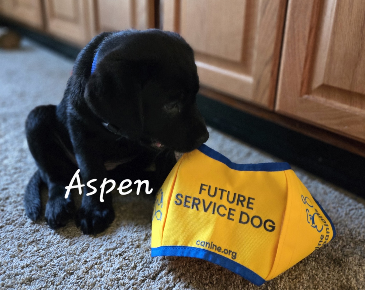 Aspen IX