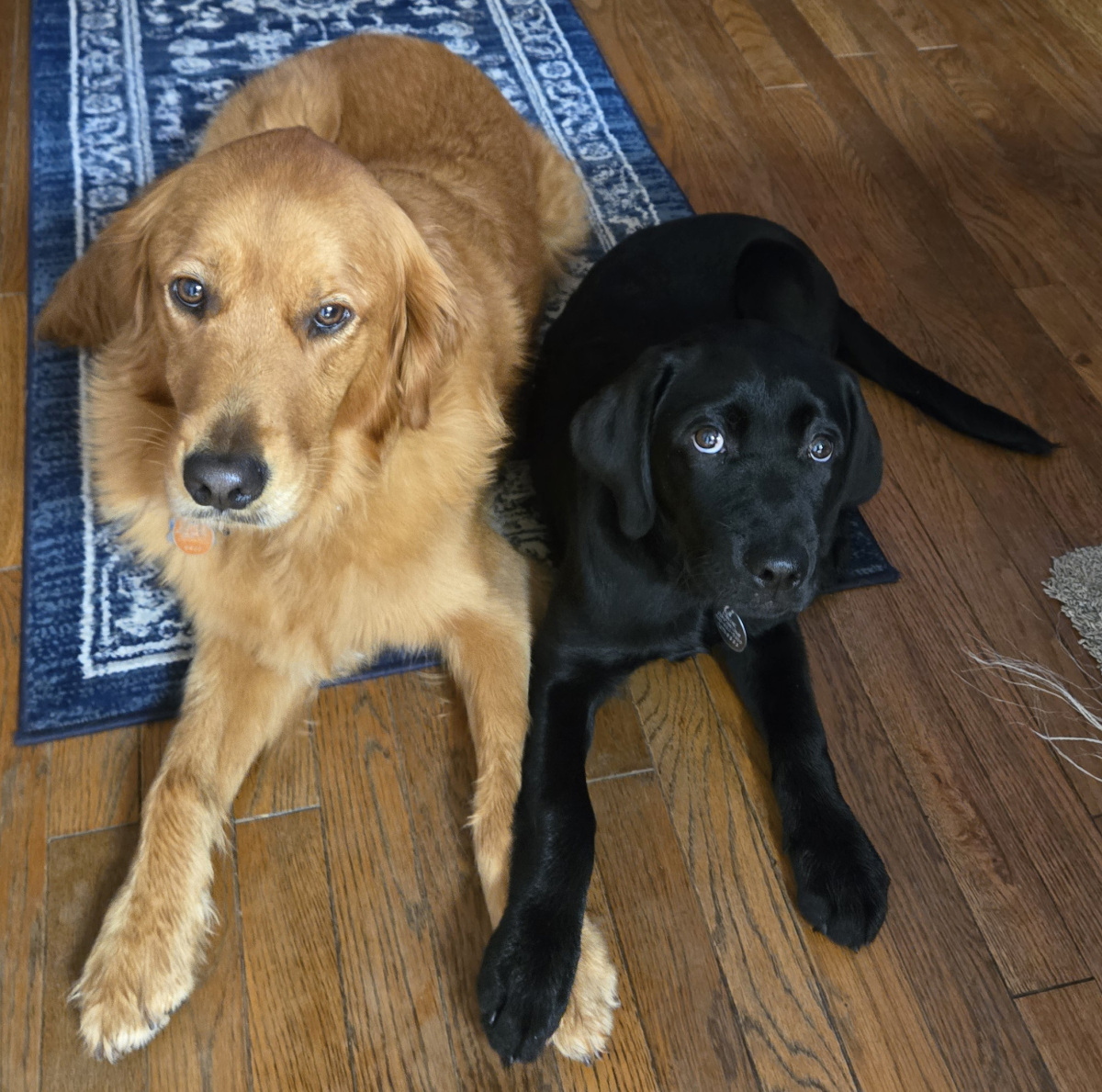 Friends