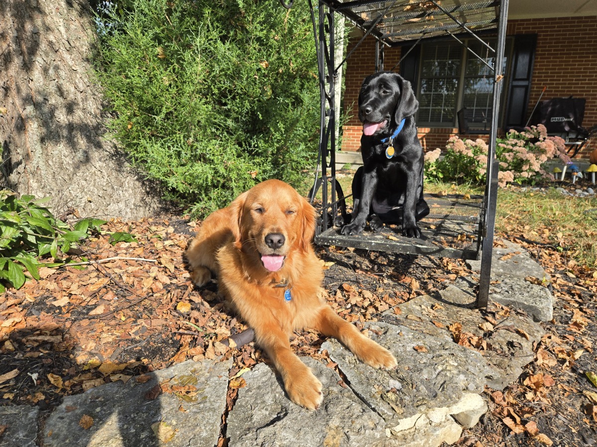 Lady is Aspen's Mentor