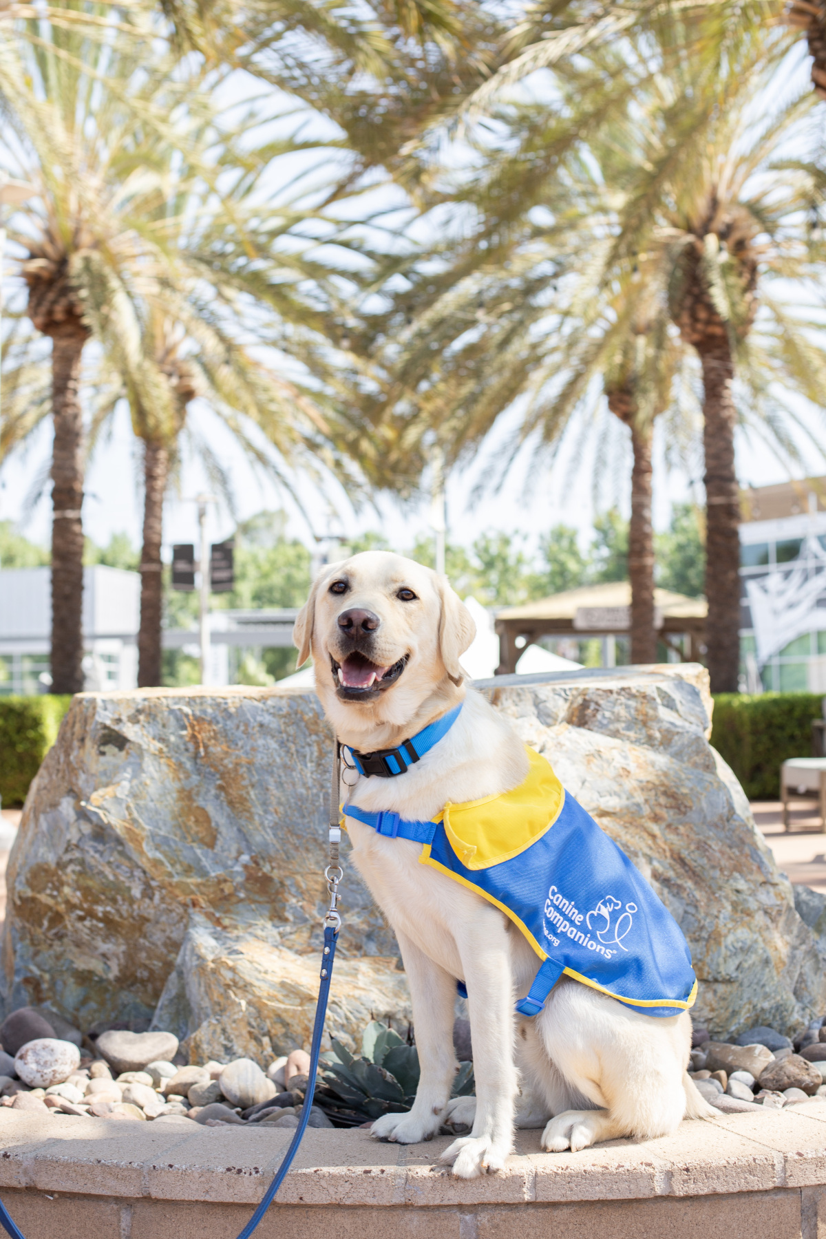 August 2025 Carson matriculates to professional training!