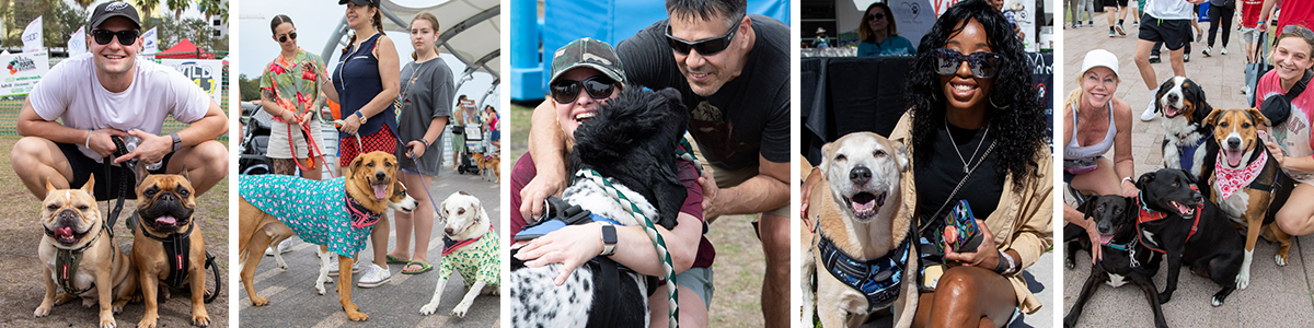 Bark in the Park 2025