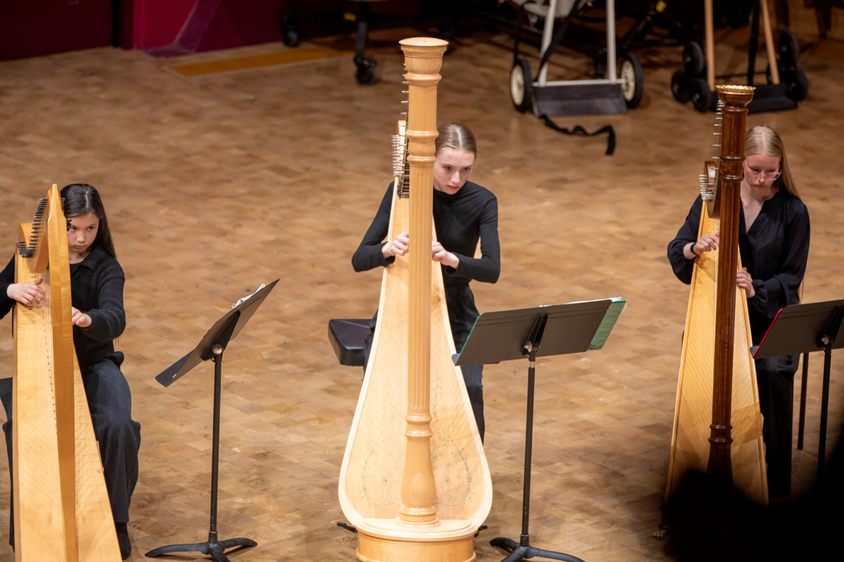 Harp Ensemble performing at the Spring Concerts