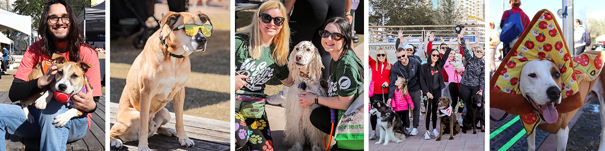 Bark in the Park 2027 - St Pete