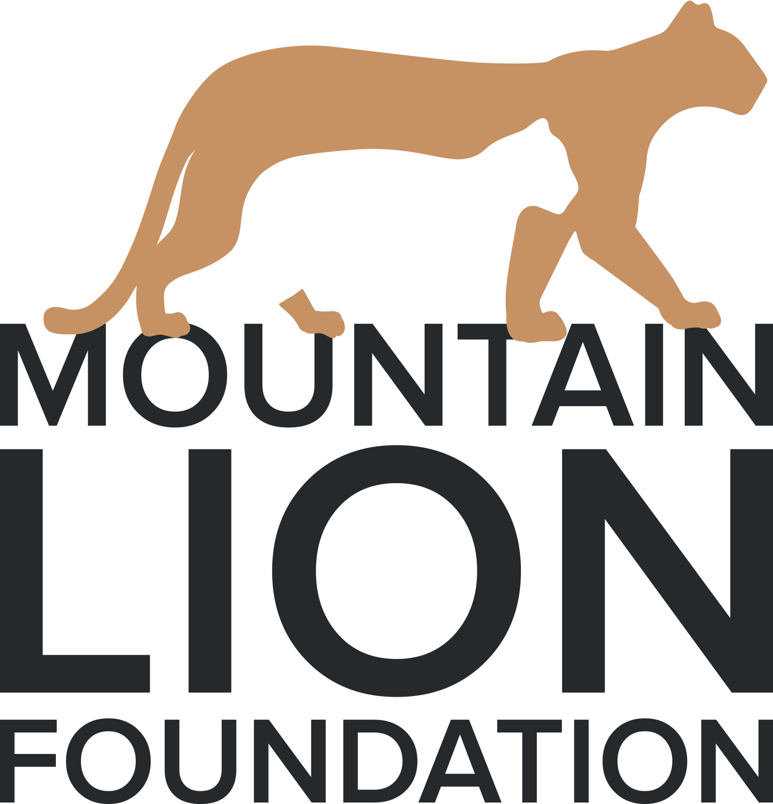 Mountain Lion Foundation 