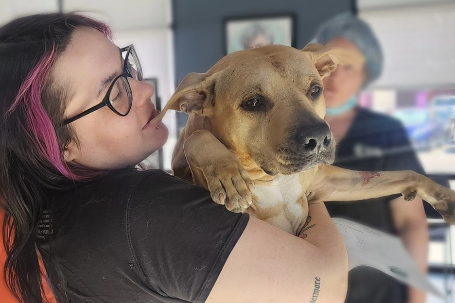 Kaylee is a special needs pup brought in by her mom for a low-cost spay and vaccines.