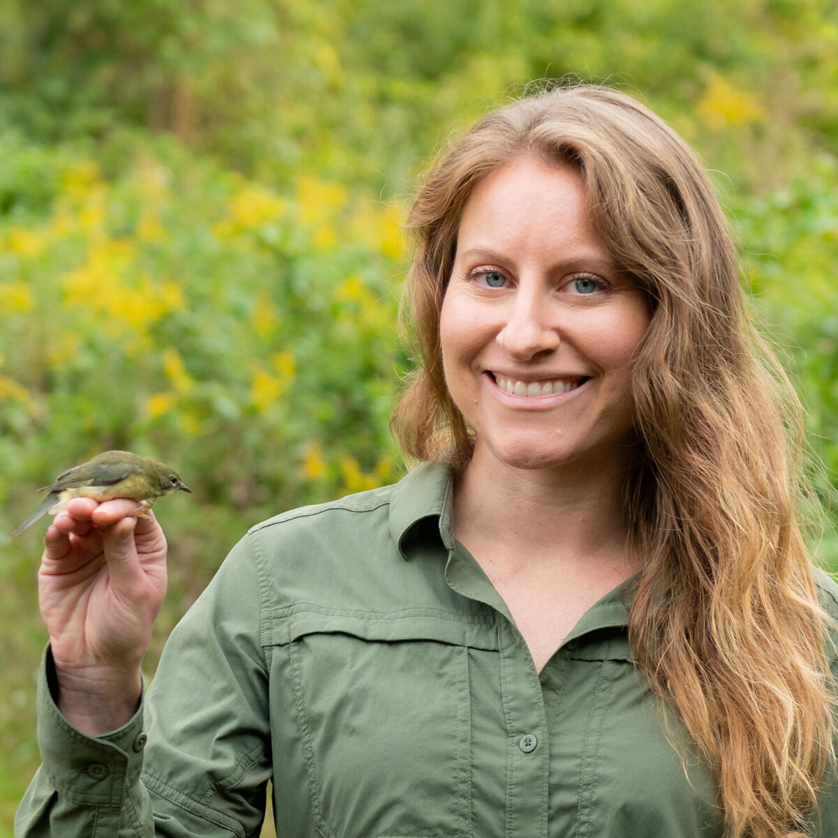 Blake Goll | Education Programs Manager