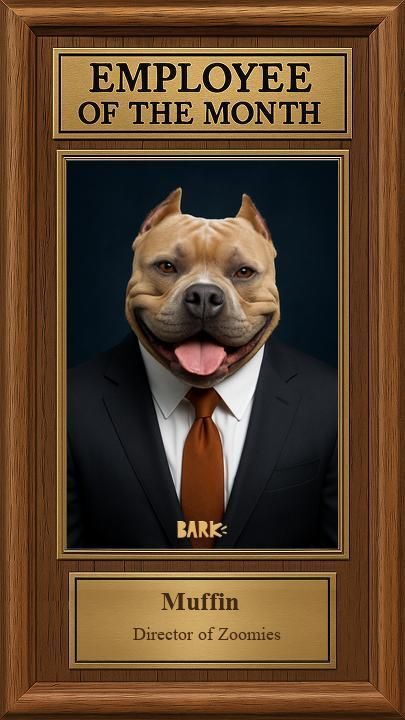 My day job. I'm not just a House Hippo.