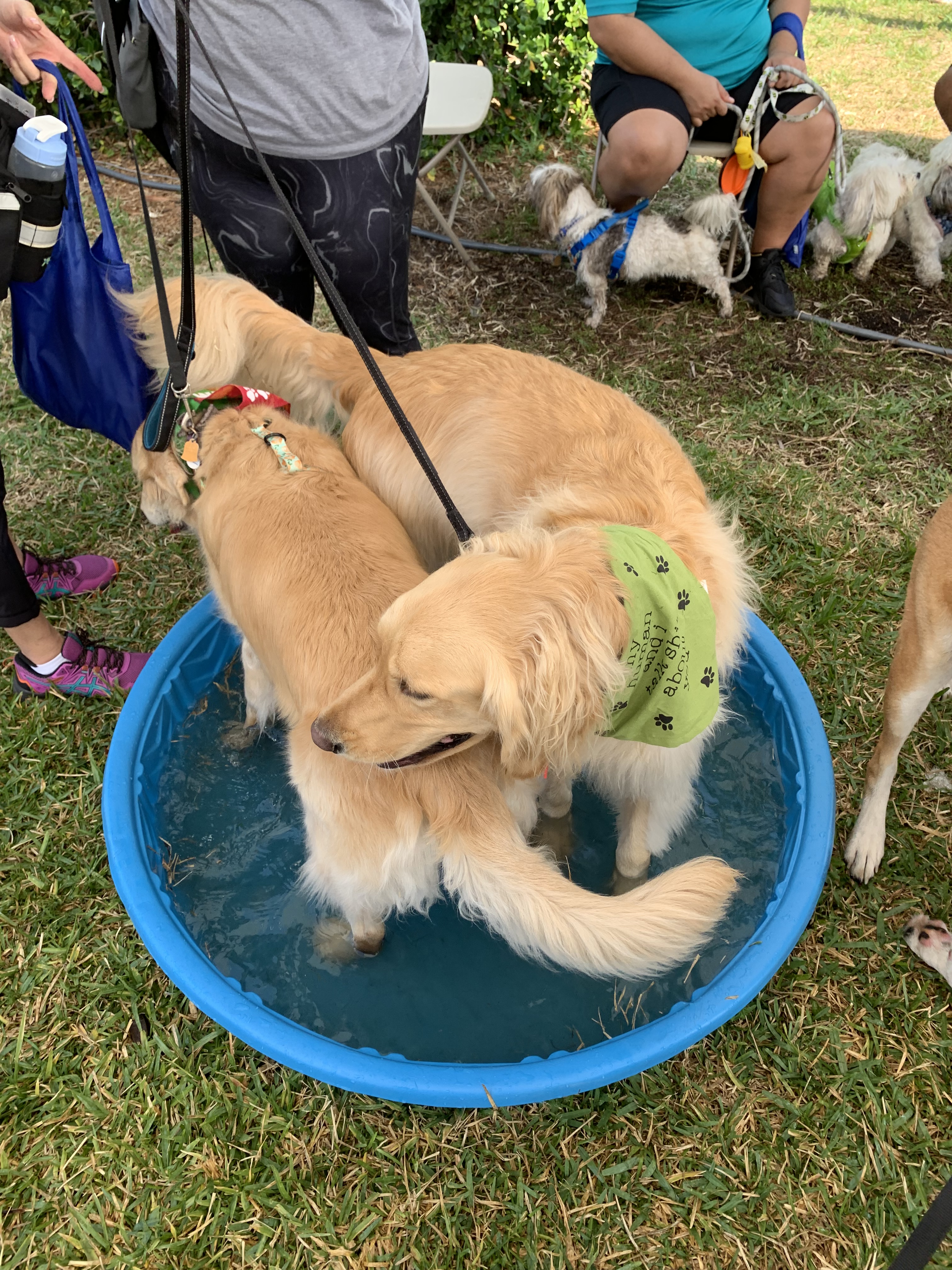 2022 walk - cooling off in the pools