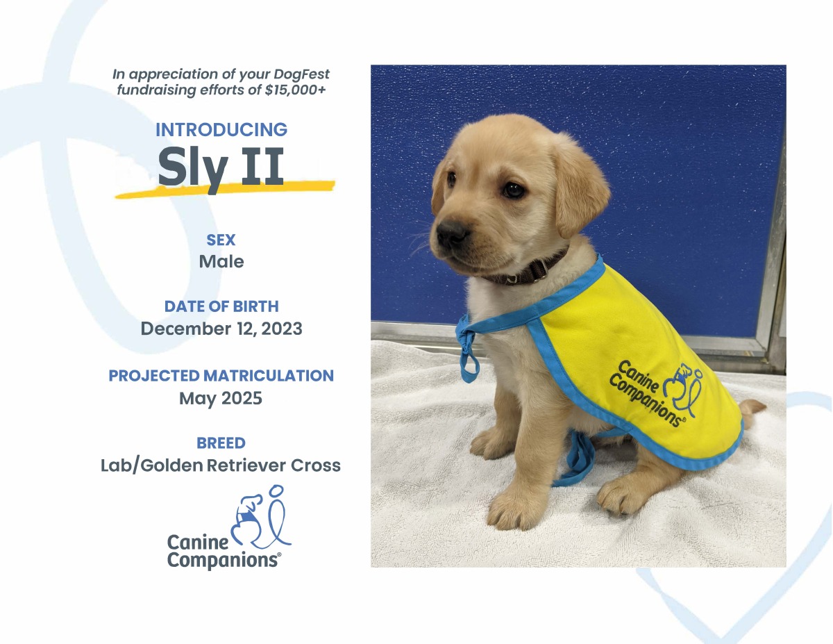 Future service dog Sly, named in honor of Alissa