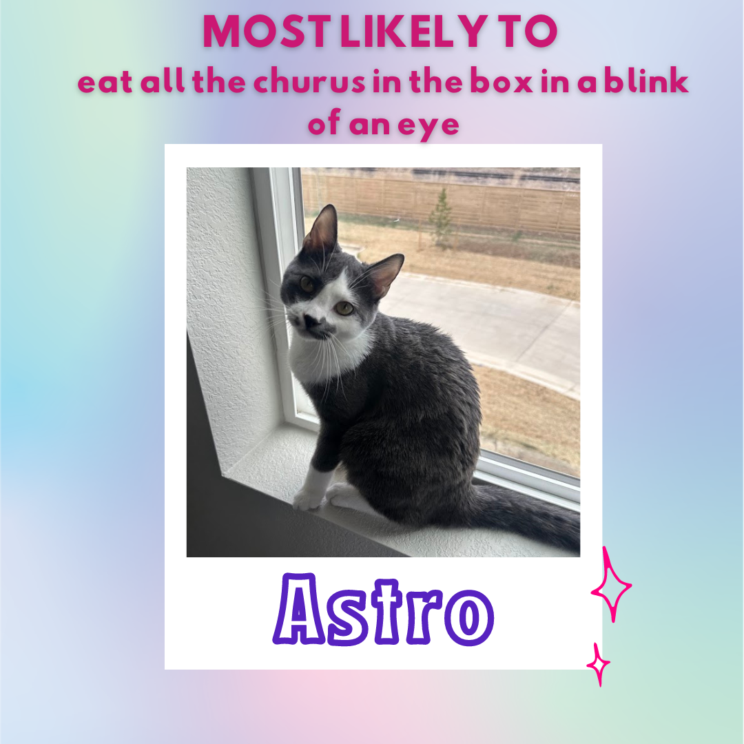 Most likely to eat all of the churu treats in the blink of an eye... ASTRO!