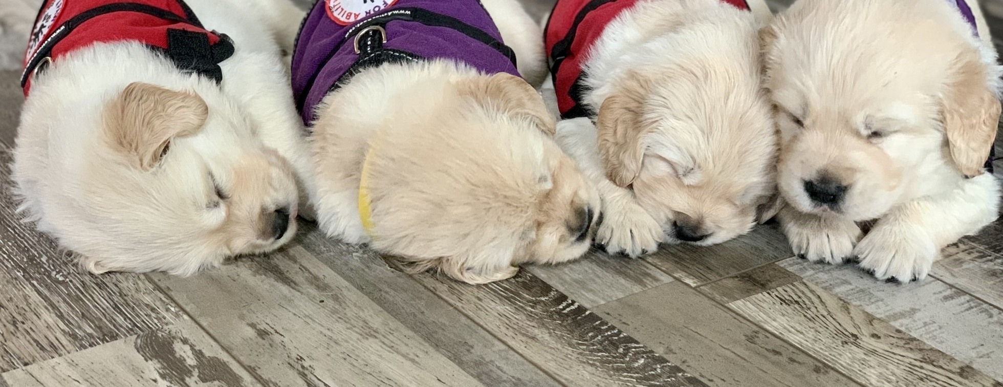 Give So They Can Grow