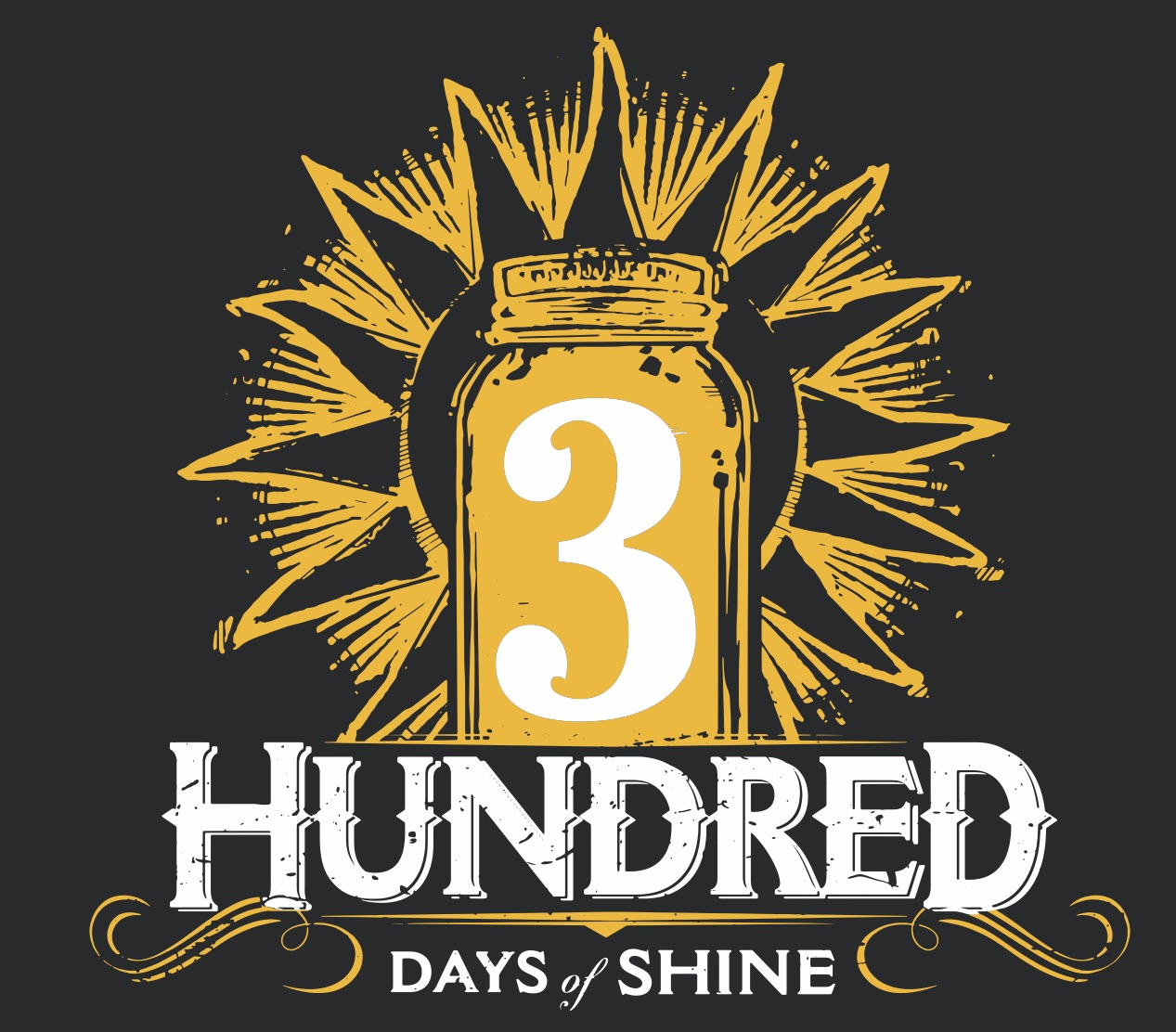 3 Hundred Days of Shine