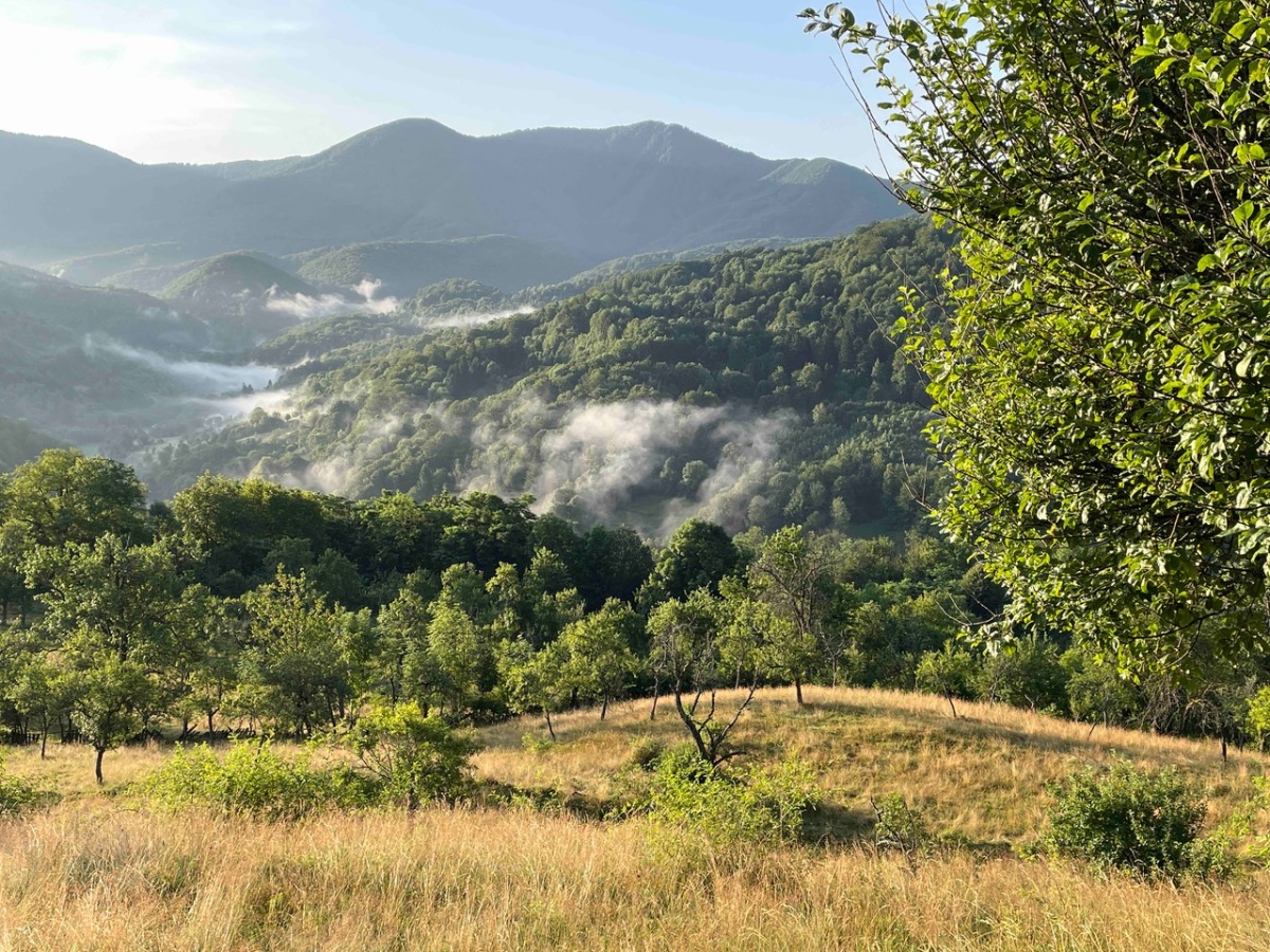 Morning Fog, Southern Carpathian Mountains (©Scott Weidensaul)